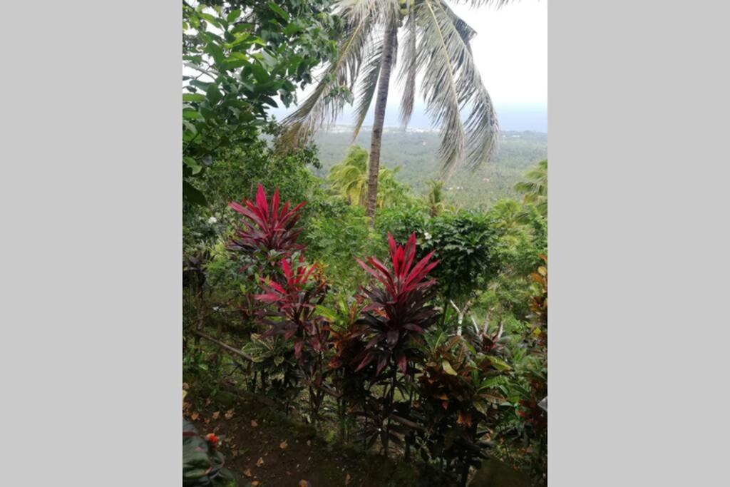 The Balcony Of The Camiguin Island Διαμέρισμα Mambajao Εξωτερικό φωτογραφία